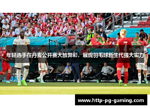 年轻选手在丹麦公开赛大放异彩,展现羽毛球新生代强大实力 年轻选手在丹麦公开赛大放异彩,展现羽毛球新生代强大实力